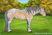 Horse Color:Watercolor Bay Ice 