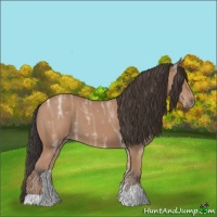 Horse Color:Bay Ice 
