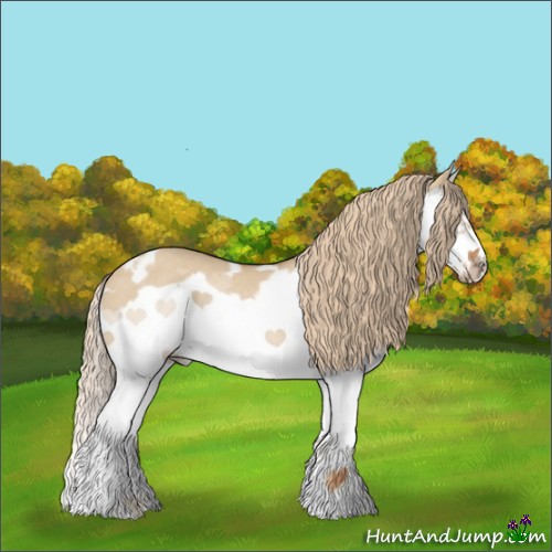 Horse Color:White Spotted Red Dun Splash Frame Rabicano 