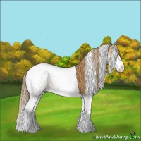 Horse Color:White Spotted Red Dun Splash Tobiano Appaloosa Rabicano 