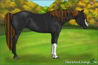 Horse Color:Gray Painted Black