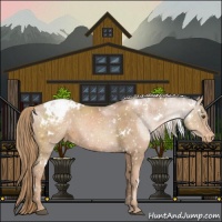 Horse Color:White Spotted Liver Chestnut Pearl Snowcap 
