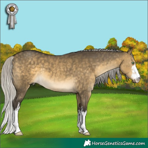 Horse Color:White Spotted Silver Buckskin Dun 