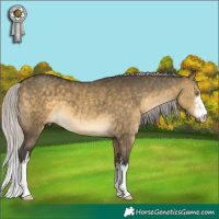 Horse Color:White Spotted Silver Buckskin Dun 
