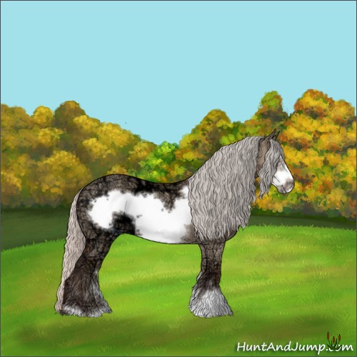 Horse Color:Silver Bay Ice Dun Sabino Frame