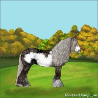 Horse Color:Silver Bay Ice Dun Sabino Frame 