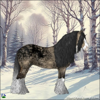 Horse Color:Bay Ice Dun Splash 