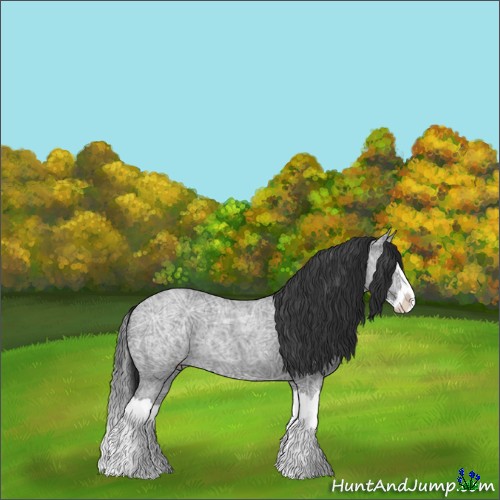 Horse Color:Blue Ice Roan Splash