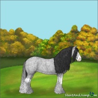 Horse Color:Blue Ice Roan Splash 