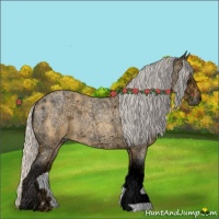 Horse Color:Silver Buckskin Ice Roan