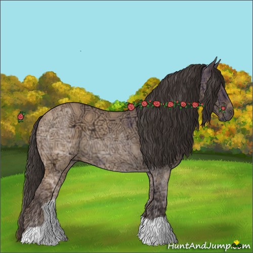 Horse Color:Buckskin Ice Roan Dun 