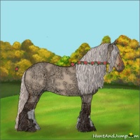 Horse Color:Silver Bay Ice Roan Dun 
