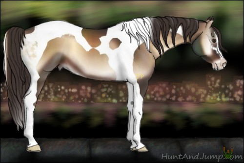 Horse Color:Liver Red Onyx Sabino Tobiano 