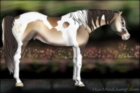 Horse Color:Liver Red Onyx Sabino Tobiano