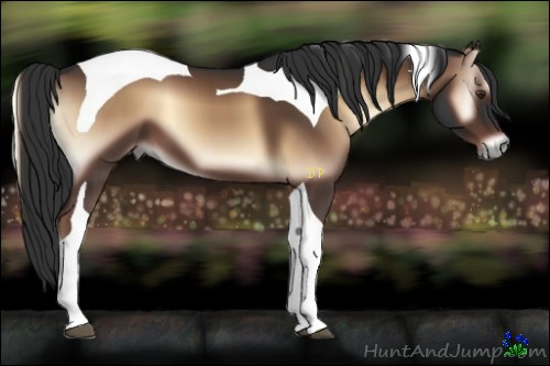 Horse Color:Liver Red Onyx Tobiano