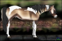 Horse Color:Liver Red Onyx Tobiano 