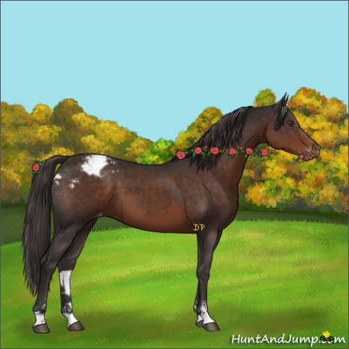 Horse Color:Liver Chestnut Sabino Varnish
