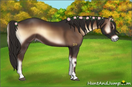 Horse Color:Liver Red Onyx Sabino 