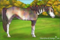Horse Color:Nacre Liver Red Onyx Sabino 
