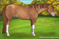 Horse Color:Gray Gold Champagne 