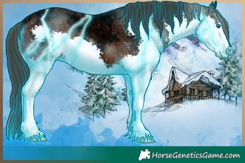 Horse Color:Thunderstruck Bay Ice Sabino Splash 