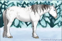 Horse Color:Bay Ice Sabino Splash Near Leopard Rabicano 