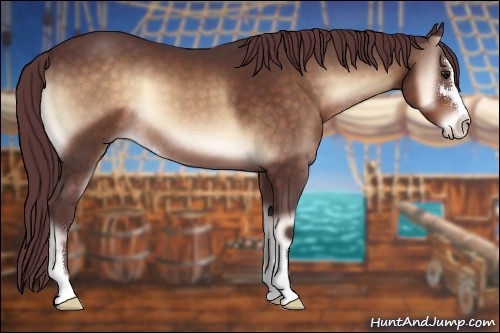 Horse Color:Chocolate Brown Onyx Sabino 