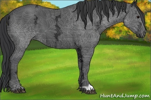 Horse Color:Black Ice 