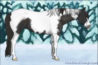 Horse Color:Liver Chestnut Tobiano Frame 