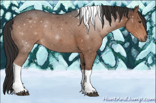 Horse Color:Liver Chestnut Tobiano Rabicano 