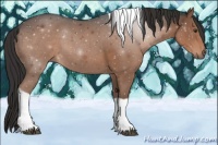 Horse Color:Liver Chestnut Tobiano Rabicano 