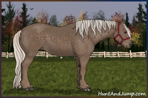 Horse Color:Silver Black 