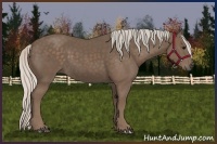 Horse Color:Silver Black 