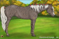 Horse Color:Liver Chestnut Ice 