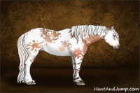 Horse Color:White Spotted Silver Brown Dun Splash Tobiano Frame Rabicano