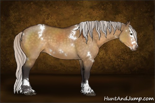 Horse Color:White Spotted Silver Buckskin Dun Splash