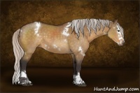 Horse Color:White Spotted Silver Buckskin Dun Splash 