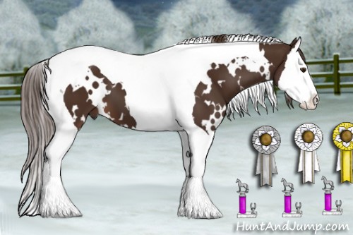 Horse Color:White Spotted Liver Chestnut Splash Tobiano 