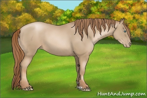 Horse Color:Smoky Black Pearl