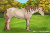 Horse Color:Smoky Black Pearl 