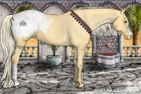 Horse Color:Palomino Blanket