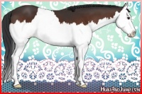 Horse Color:Brown Splash