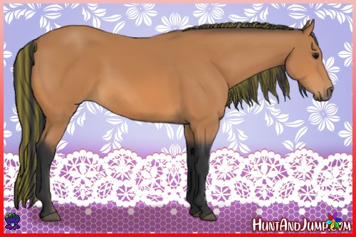 Horse Color:Painted Bay