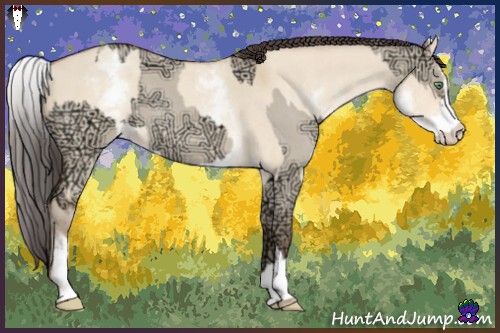Horse Color:Amber Champagne Ice Roan Dun Sabino and White Spotted Amber Champagne Roan Dun