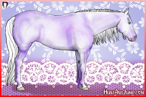 Horse Color:Cremello Dun 