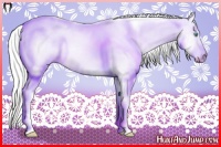 Horse Color:Cremello Dun 