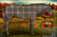 Horse Color:Plaid  Liver Red Roan Sabino 