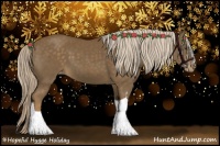 Horse Color:Chocolate Palomino Appaloosa 