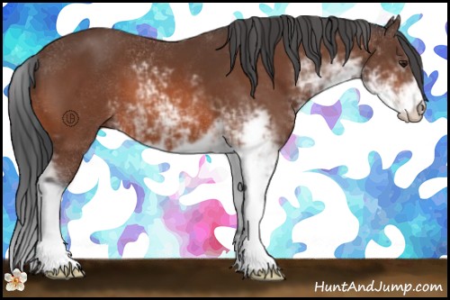 Horse Color:Bay Sabino 