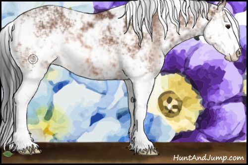 Horse Color:Bay Sabino